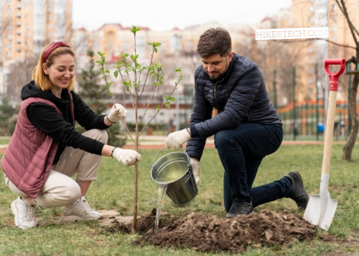 Tree Planting Captions for Instagram With Quotes