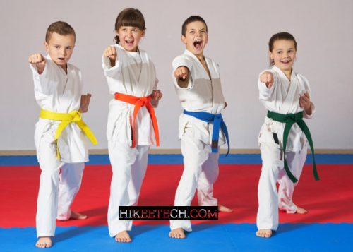 Karate Quotes and Captions for Instagram